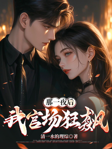那一夜后，我官场狂飙