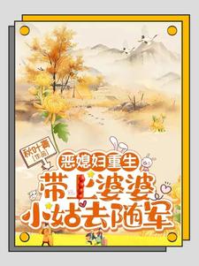 恶媳妇重生，带上婆婆小姑去随军