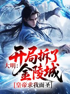 大明：开局拆了金陵城，皇帝求我面圣