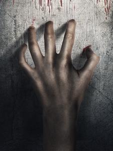 家暴受害者完美复仇计划