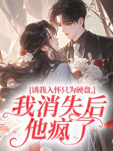 诱我入怀只为硬盘，我消失后他疯了