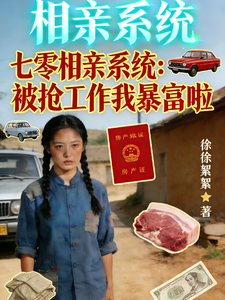 七零相亲系统：被抢工作我暴富啦