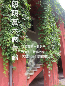 阴阴夏木啭黄鹂