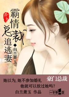 霸情总裁追逃妻