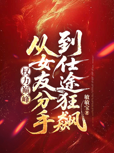 权力巅峰：从女友分手到仕途狂飙