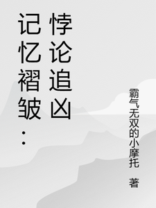 记忆褶皱：悖论追凶