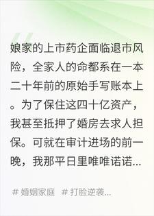 审计前夜，老公把救命的原始账本偷给白月光