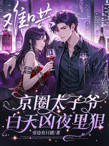 难哄，京圈太子爷白天凶夜里狠