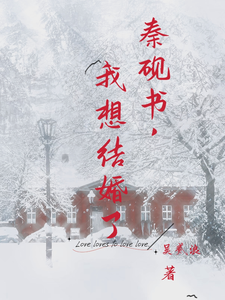 秦砚书，我想结婚了