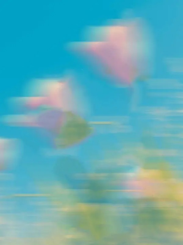 真千金归来但全家都是冒牌货