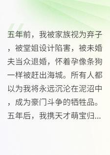 五年后，我带缩小版霸总炸翻前夫家