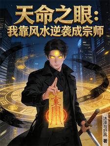 天命之眼：我靠风水逆袭成宗师