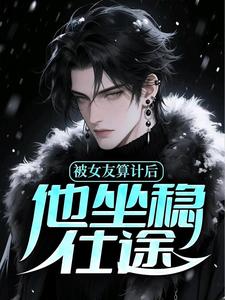 被女友算计后，他坐稳仕途