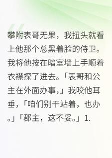 暗室欢情，我拐走了权倾朝野的摄政王
