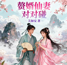 赘婿仙妻对对碰