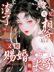 渣了失忆相爷后，又被赐婚他长子