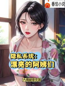 隐私系统：漂亮的阿姨们