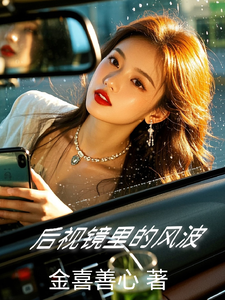 后视镜里的风波