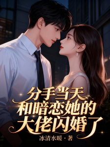 分手当天，和暗恋她的大佬闪婚了
