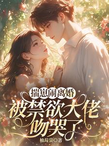 揣崽闹离婚，被禁欲大佬吻哭了