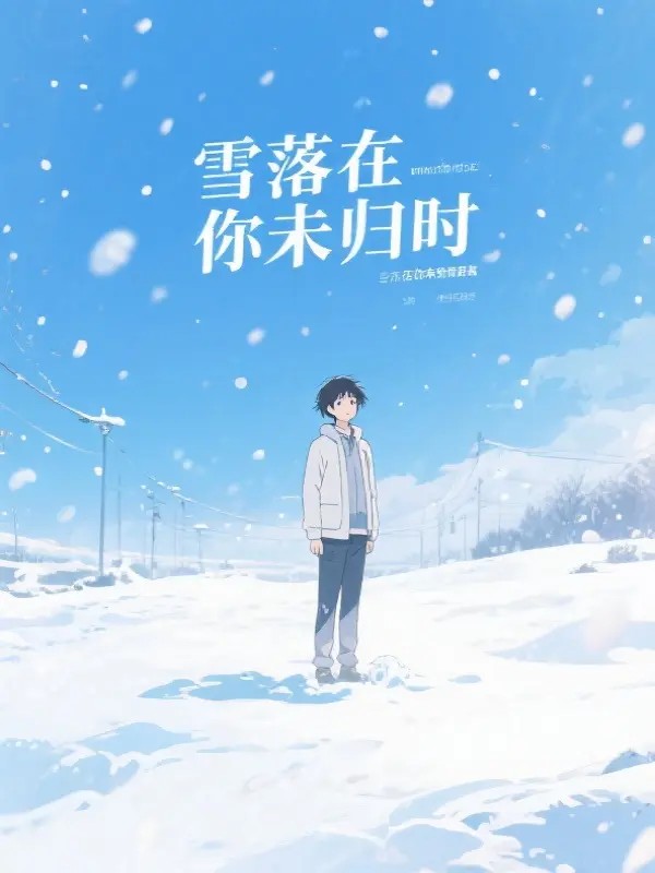 雪落在你未归时