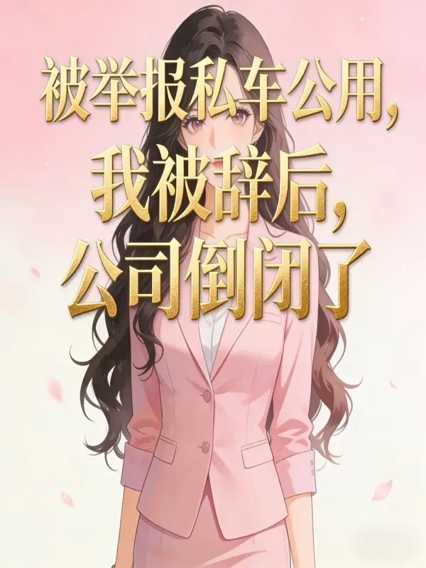 被举报私车公用，我被辞后，公司倒闭了