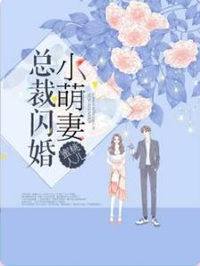 总裁闪婚小萌妻