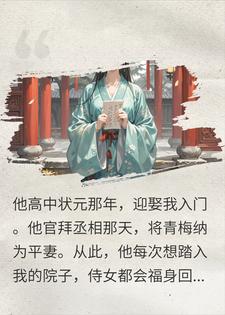 飞黄腾达娶平妻？我扔下休书跑路后他崩溃了