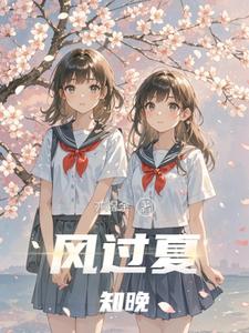 风过夏知晚
