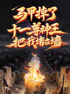 马甲掉了，十一尊神王把我堵在墙