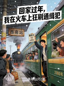 回家过年，我在火车上狂刷通缉犯