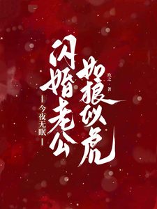 今夜无眠，闪婚老公如狼似虎
