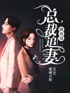 总裁追妻路漫漫