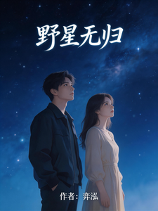 野星无归