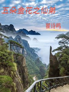 五朵金花之仙弟
