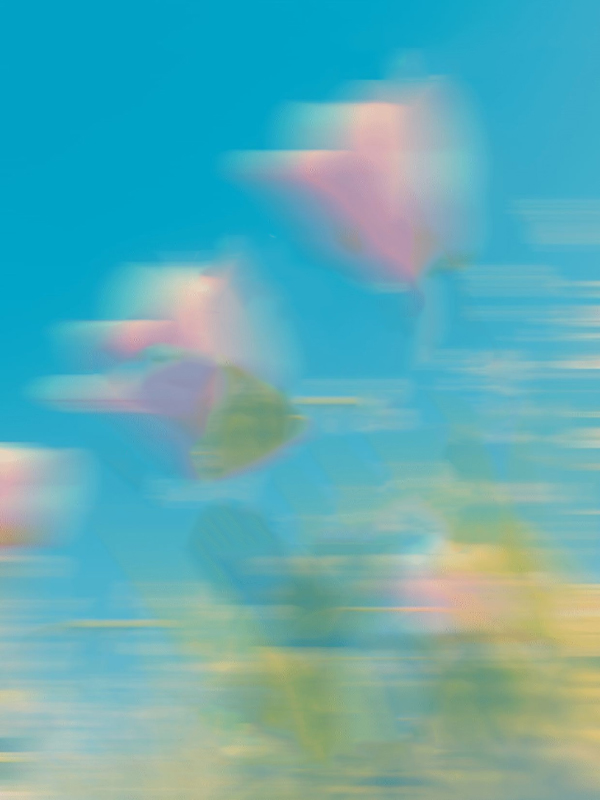 堂哥开宝马撞死了我的鸡，跪求我原谅