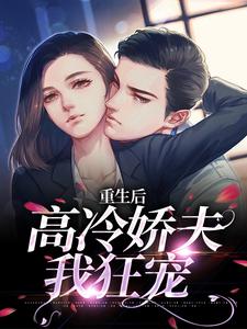 重生后，高冷娇夫我狂宠