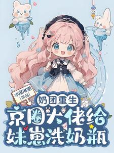 奶团重生，京圈大佬给妹崽洗奶瓶