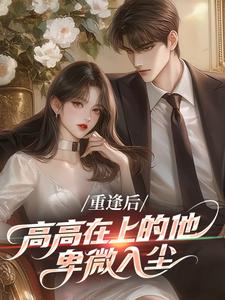 重逢后，高高在上的他卑微入尘