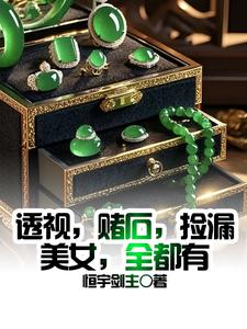 透视，赌石，捡漏，美女，全都有