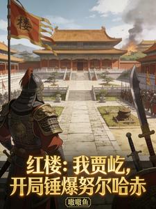 红楼：我贾屹，开局锤爆努尔哈赤