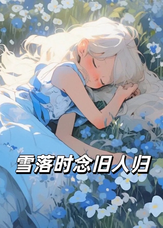 雪落时念旧人归