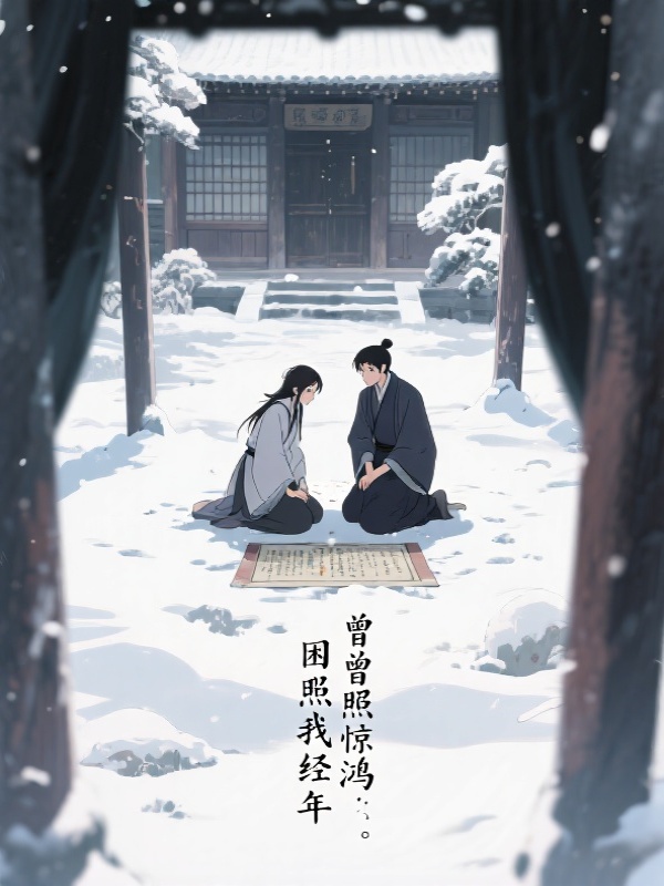 曾照惊鸿，困我经年