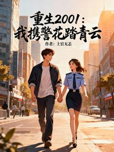 重生2001：我携警花踏青云