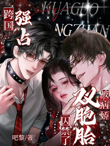 跨国强占，被病娇双胞胎囚禁了