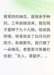 和离仅折朵梅花出府，我：此生不复见