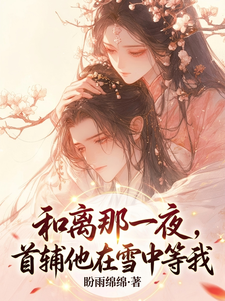 和离那一夜，首辅他在雪中等我