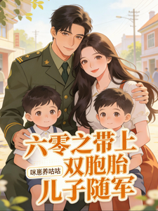六零之带上双胞胎儿子随军