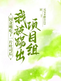 因贪嘴吃了一片吐司后，我被踢出项目组