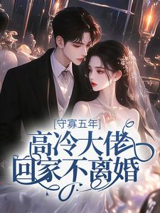 守寡五年，高冷大佬回家不离婚